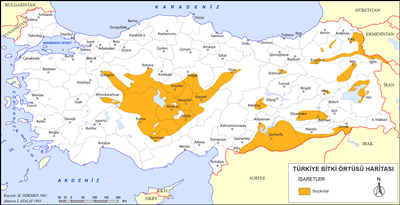 Trkiye bozkr bitki rts haritas