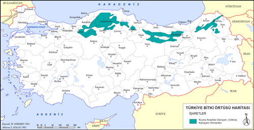Trkiye Kuzey Anadolu ne Yaprakl Orman Haritas