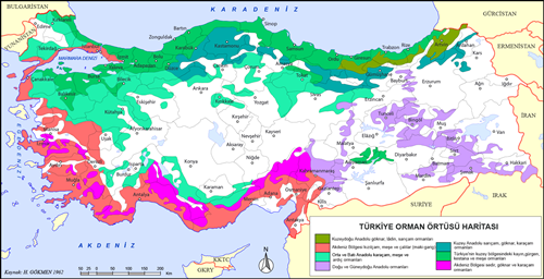Trkiye Orman Bitki rts Haritas