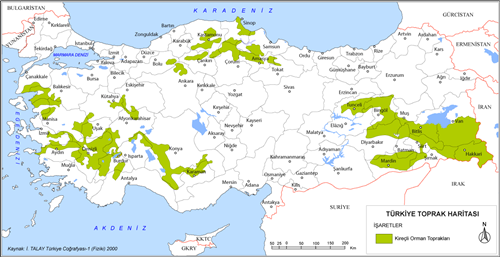 Türkiye Kireçli Orman Toprakları Haritası