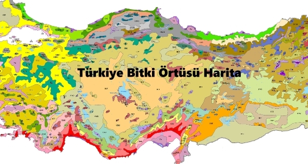 Türkiye Bitki Örtüsü Haritaları Türkiye Bitki Örtüsü Haritaları