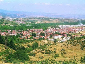 Söğüt Fotoğrafı