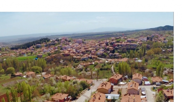 Yapraklı Fotoğrafı