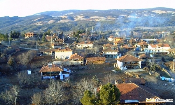 Beyağaç Fotoğrafı