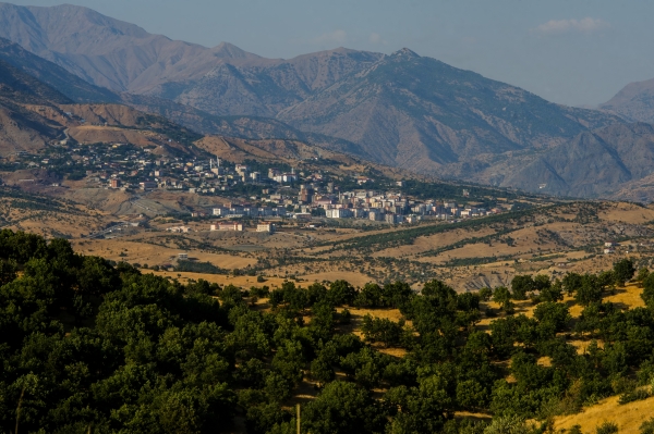 Kulp Fotoğrafı