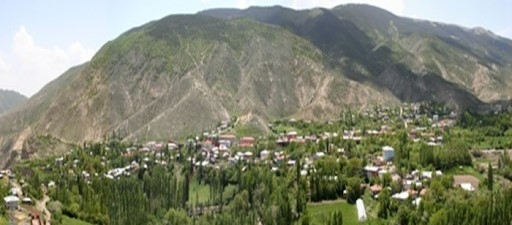 Olur Fotoğrafı