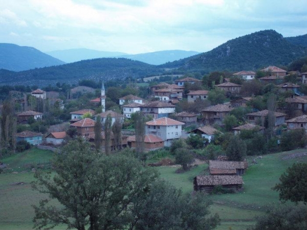 Araç Fotoğrafı
