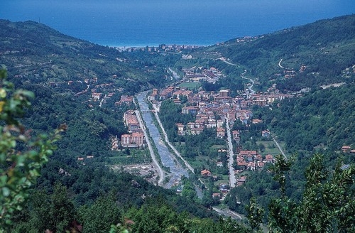 Bozkurt Fotoğrafı