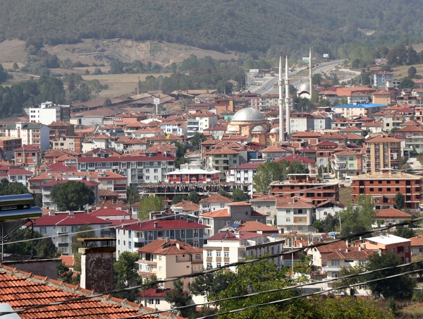 Kavak Fotoğrafı