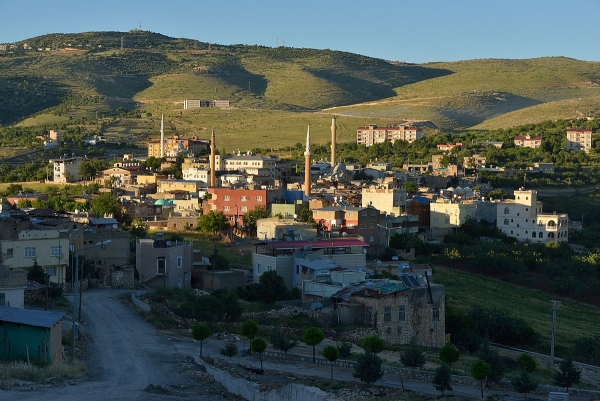 Tillo Fotoğrafı