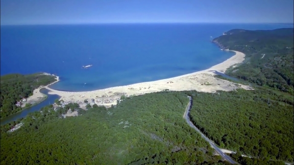 Saray Fotoğrafı