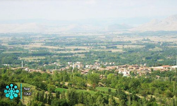 Pazar Fotoğrafı