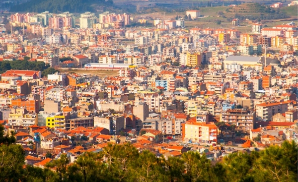 Tire Fotoğrafı