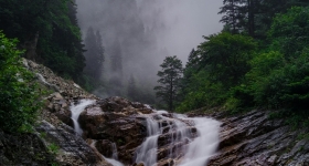 Karadeniz klimi Nedir?