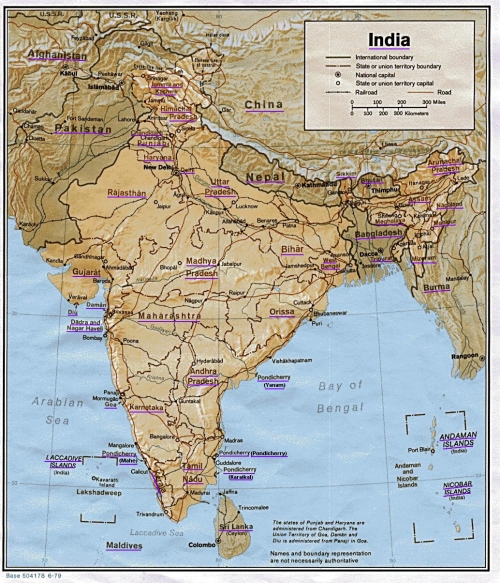 Hindistan fiziki haritas