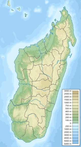 Madagaskar dilsiz