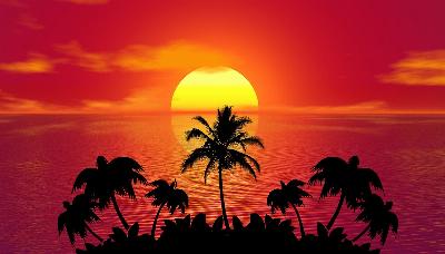 Gn Batm, Palmiye Aalar